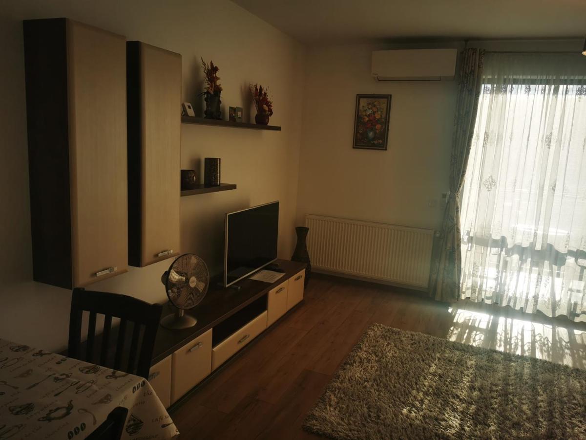 Studio Green Leilighet Târgu-Mureş Rom bilde