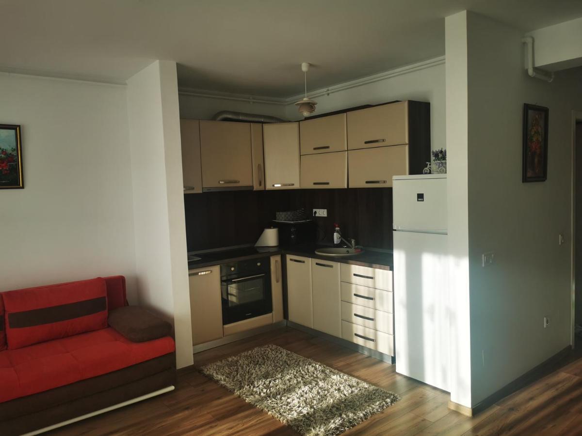 Studio Green Leilighet Târgu-Mureş Rom bilde